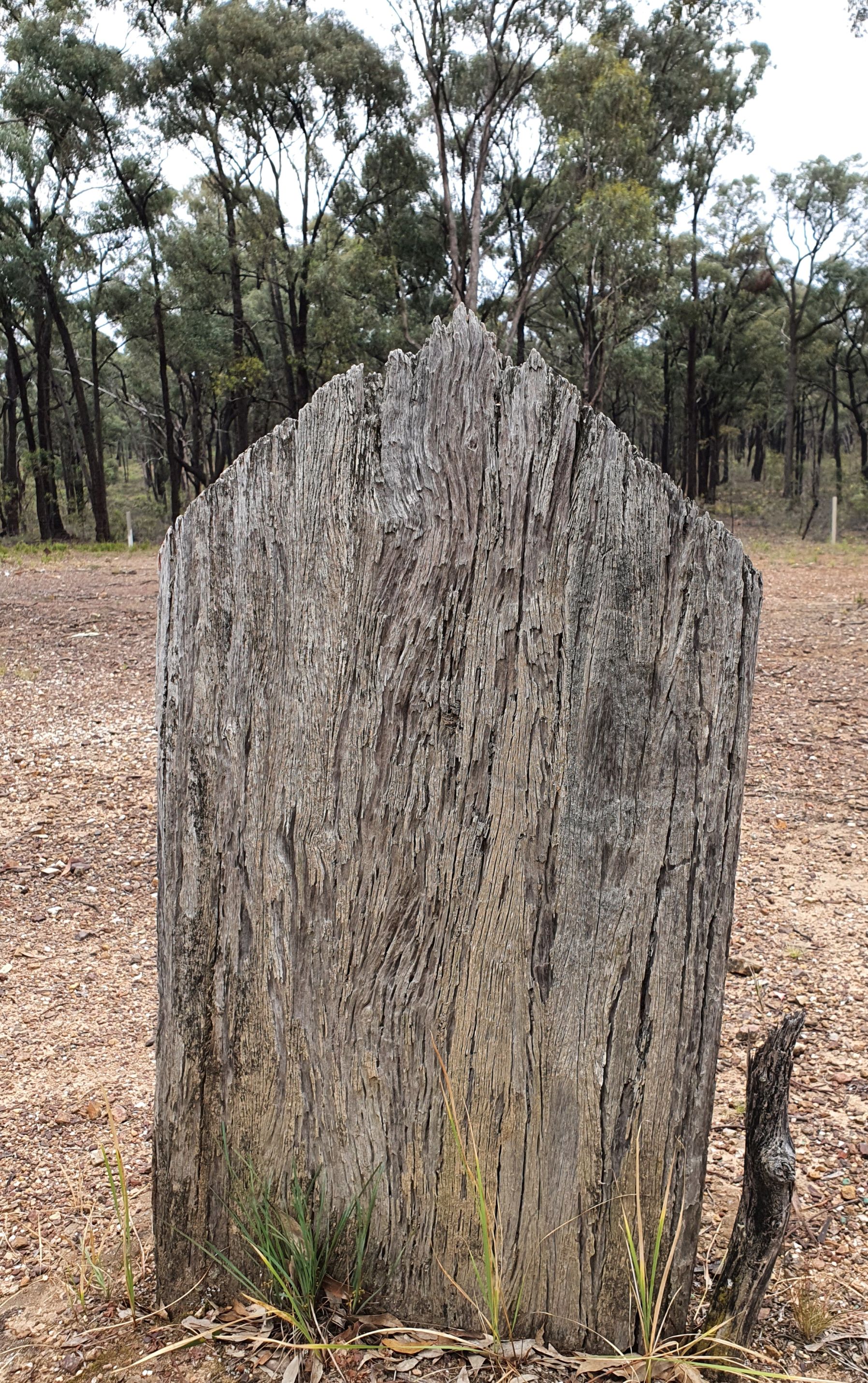 Whroo Cemetery - One timber tribute remains